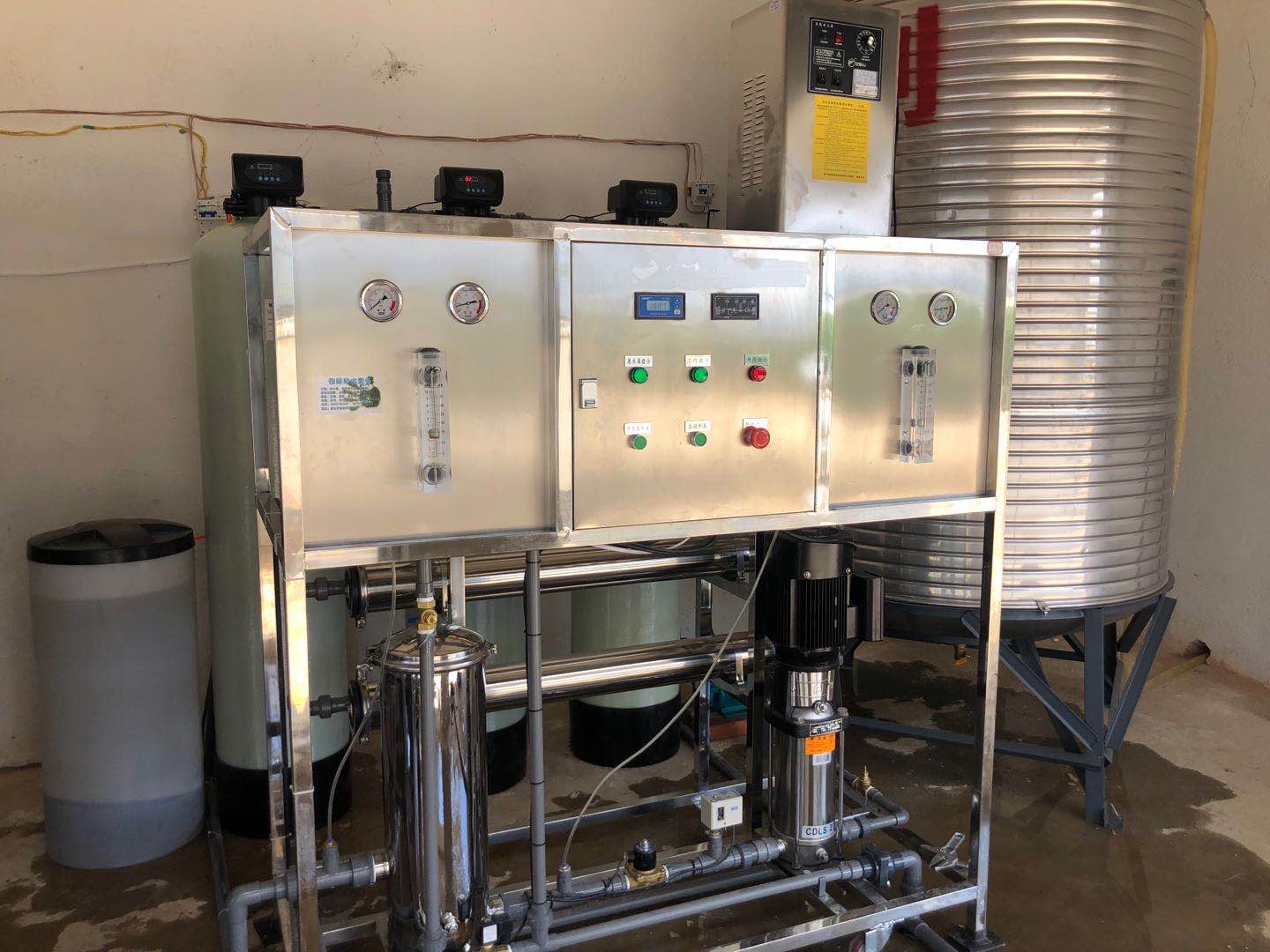 蒙自某水站1T/H反滲透設備